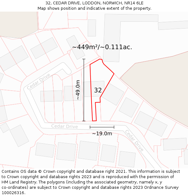 32, CEDAR DRIVE, LODDON, NORWICH, NR14 6LE: Plot and title map