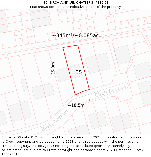 35, BIRCH AVENUE, CHATTERIS, PE16 6JJ: Plot and title map