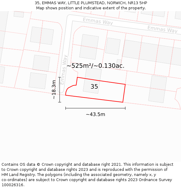 35, EMMAS WAY, LITTLE PLUMSTEAD, NORWICH, NR13 5HP: Plot and title map