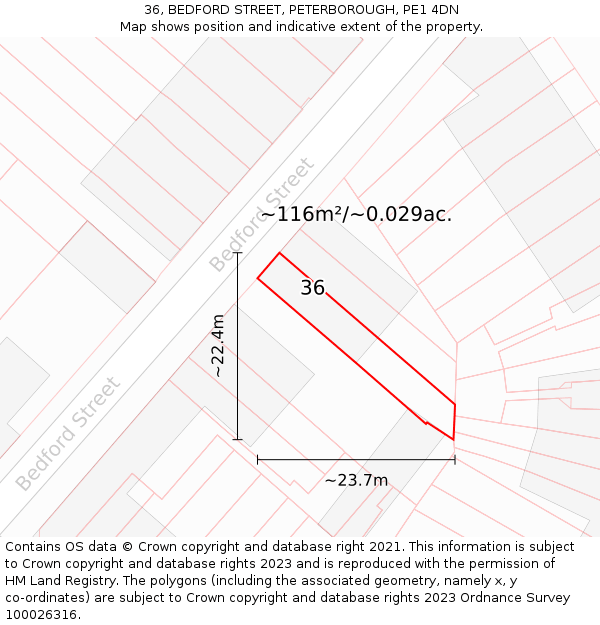 36, BEDFORD STREET, PETERBOROUGH, PE1 4DN: Plot and title map