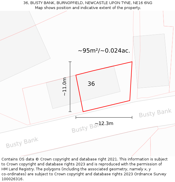 36, BUSTY BANK, BURNOPFIELD, NEWCASTLE UPON TYNE, NE16 6NG: Plot and title map