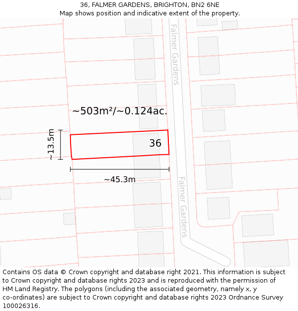 36, FALMER GARDENS, BRIGHTON, BN2 6NE: Plot and title map