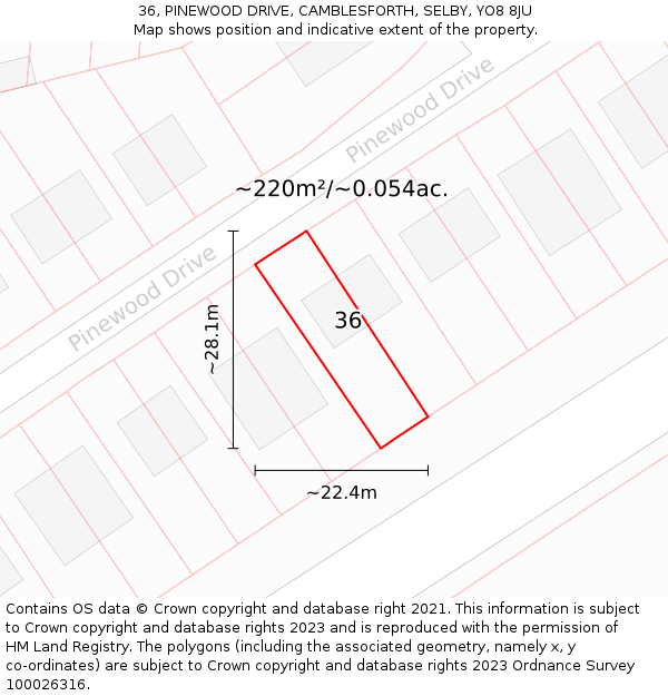 36, PINEWOOD DRIVE, CAMBLESFORTH, SELBY, YO8 8JU: Plot and title map