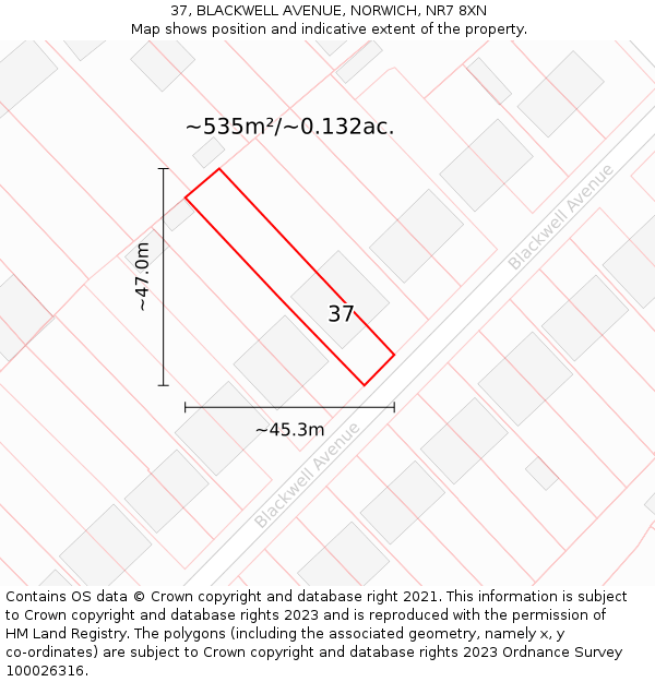 37, BLACKWELL AVENUE, NORWICH, NR7 8XN: Plot and title map