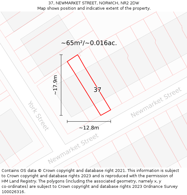 37, NEWMARKET STREET, NORWICH, NR2 2DW: Plot and title map
