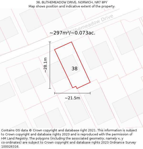 38, BLITHEMEADOW DRIVE, NORWICH, NR7 8PY: Plot and title map