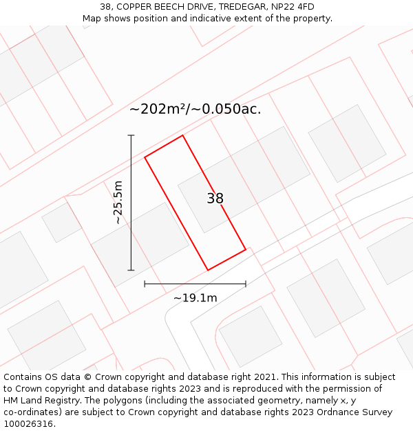 38, COPPER BEECH DRIVE, TREDEGAR, NP22 4FD: Plot and title map