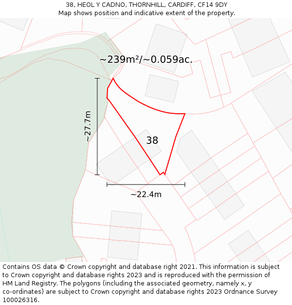 38, HEOL Y CADNO, THORNHILL, CARDIFF, CF14 9DY: Plot and title map