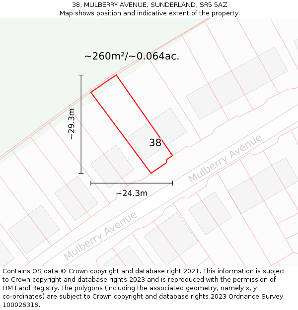 38, MULBERRY AVENUE, SUNDERLAND, SR5 5AZ: Plot and title map