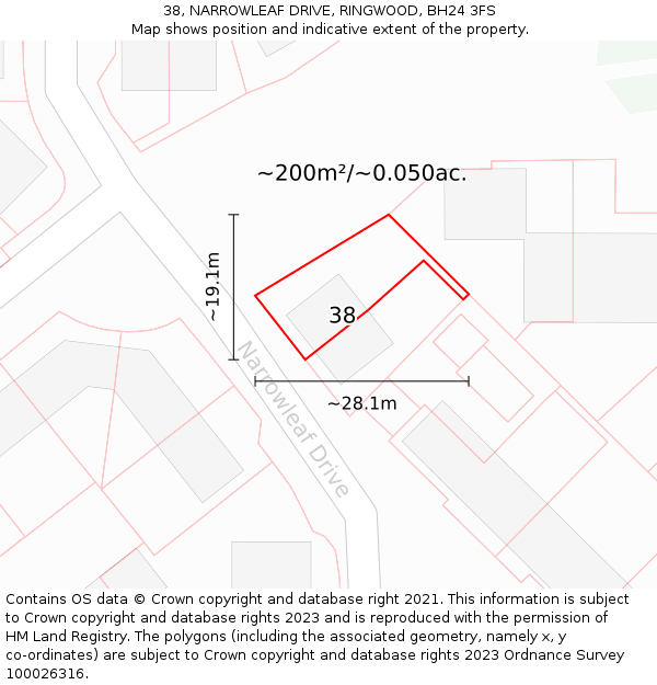 38, NARROWLEAF DRIVE, RINGWOOD, BH24 3FS: Plot and title map