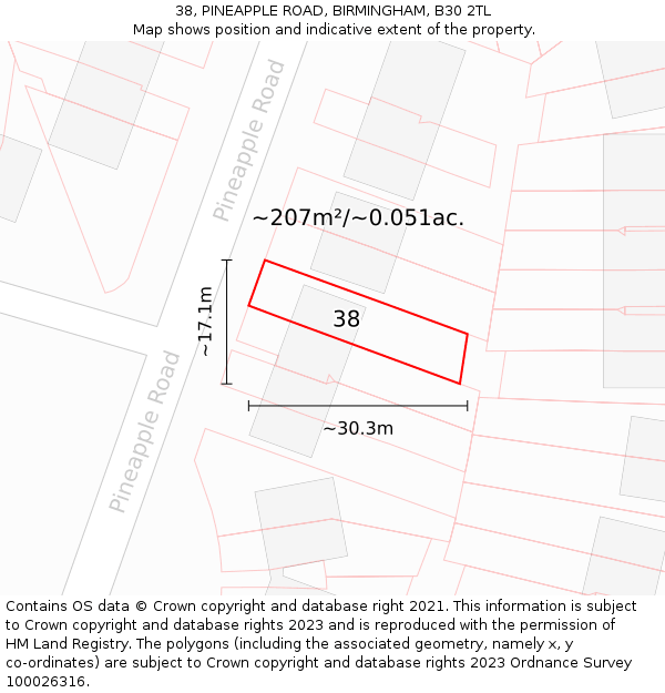 38, PINEAPPLE ROAD, BIRMINGHAM, B30 2TL: Plot and title map