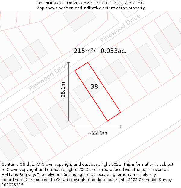 38, PINEWOOD DRIVE, CAMBLESFORTH, SELBY, YO8 8JU: Plot and title map