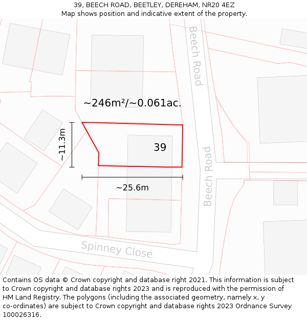 39, BEECH ROAD, BEETLEY, DEREHAM, NR20 4EZ: Plot and title map