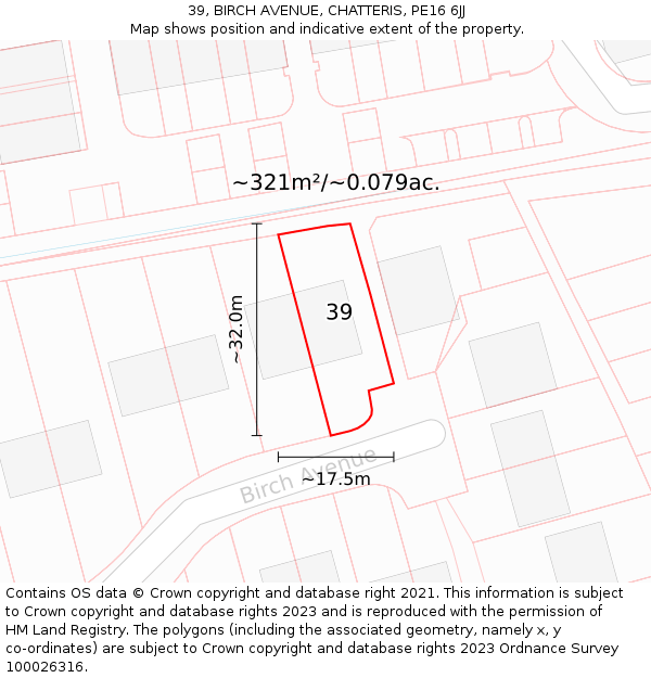 39, BIRCH AVENUE, CHATTERIS, PE16 6JJ: Plot and title map