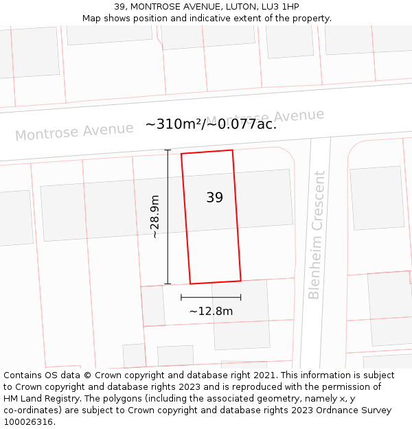 39, MONTROSE AVENUE, LUTON, LU3 1HP: Plot and title map