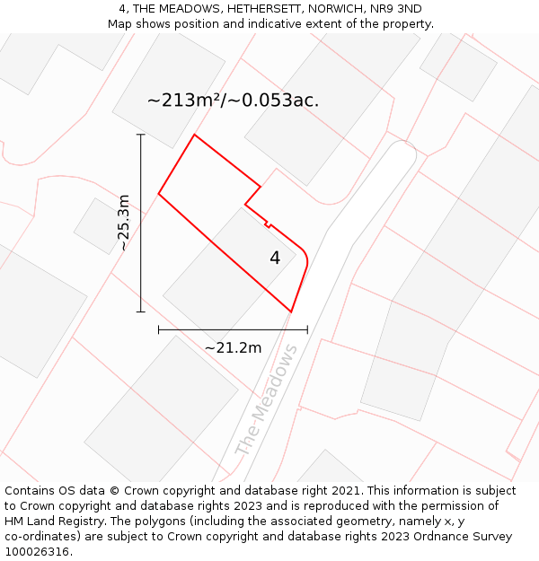 4, THE MEADOWS, HETHERSETT, NORWICH, NR9 3ND: Plot and title map