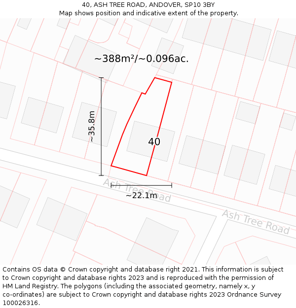 40, ASH TREE ROAD, ANDOVER, SP10 3BY: Plot and title map