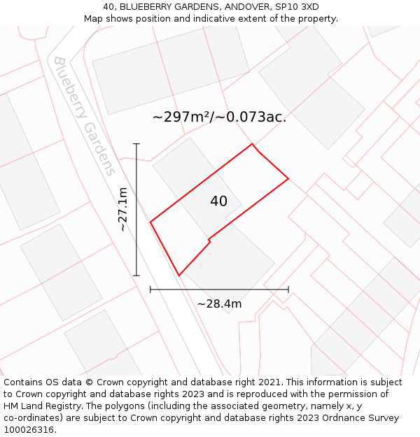 40, BLUEBERRY GARDENS, ANDOVER, SP10 3XD: Plot and title map