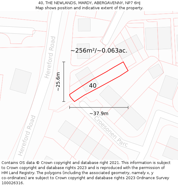 40, THE NEWLANDS, MARDY, ABERGAVENNY, NP7 6HJ: Plot and title map