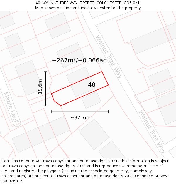 40, WALNUT TREE WAY, TIPTREE, COLCHESTER, CO5 0NH: Plot and title map