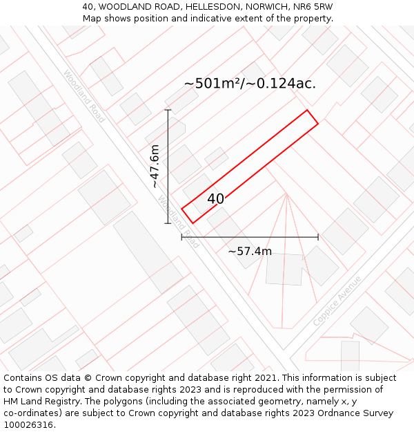 40, WOODLAND ROAD, HELLESDON, NORWICH, NR6 5RW: Plot and title map