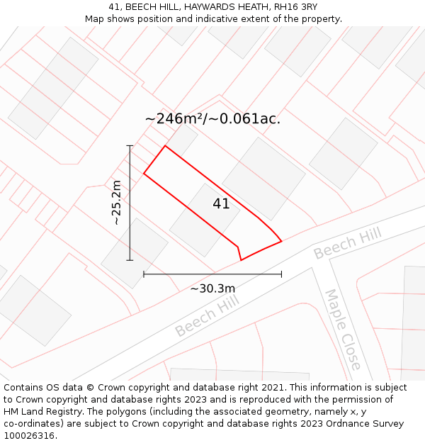 41, BEECH HILL, HAYWARDS HEATH, RH16 3RY: Plot and title map