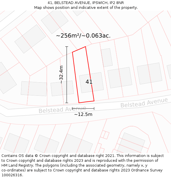 41, BELSTEAD AVENUE, IPSWICH, IP2 8NR: Plot and title map