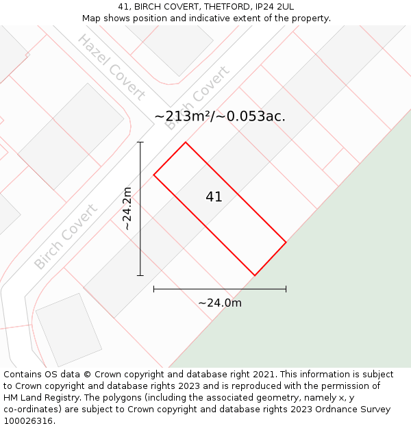 41, BIRCH COVERT, THETFORD, IP24 2UL: Plot and title map