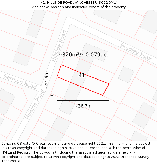 41, HILLSIDE ROAD, WINCHESTER, SO22 5NW: Plot and title map