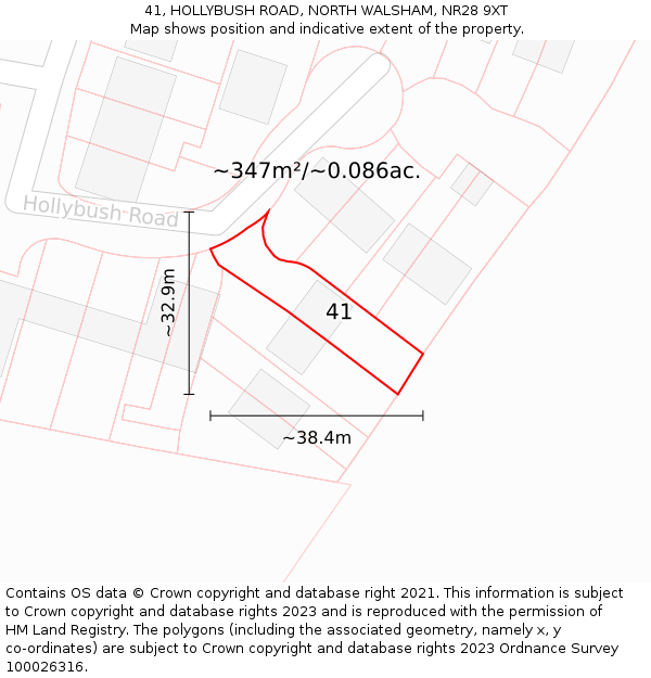 41, HOLLYBUSH ROAD, NORTH WALSHAM, NR28 9XT: Plot and title map