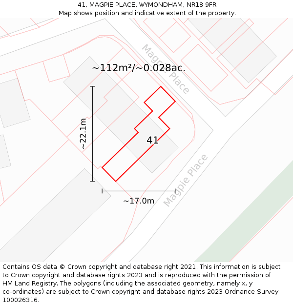 41, MAGPIE PLACE, WYMONDHAM, NR18 9FR: Plot and title map