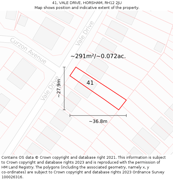 41, VALE DRIVE, HORSHAM, RH12 2JU: Plot and title map