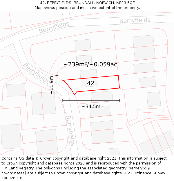 42, BERRYFIELDS, BRUNDALL, NORWICH, NR13 5QE: Plot and title map