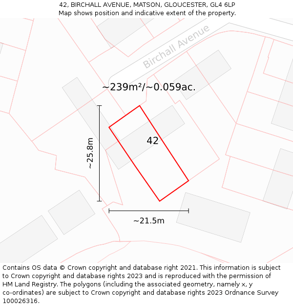 42, BIRCHALL AVENUE, MATSON, GLOUCESTER, GL4 6LP: Plot and title map