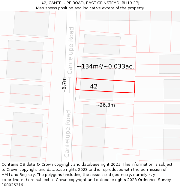 42, CANTELUPE ROAD, EAST GRINSTEAD, RH19 3BJ: Plot and title map