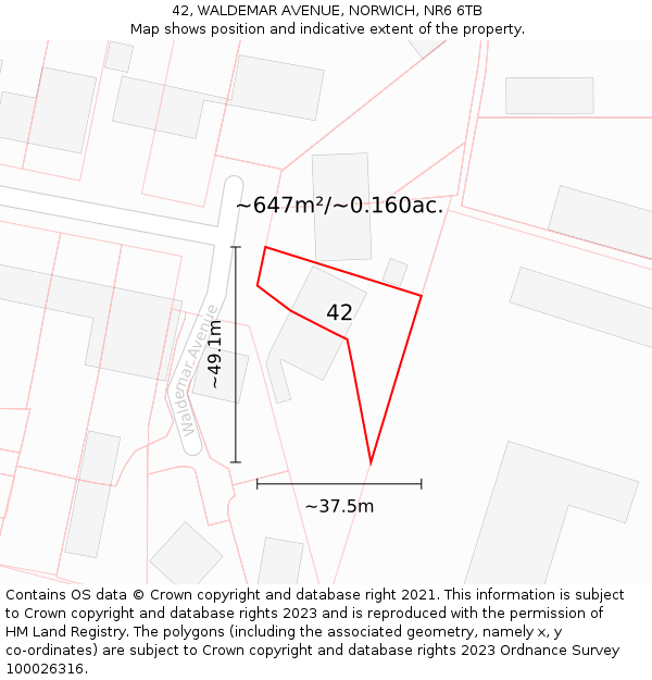 42, WALDEMAR AVENUE, NORWICH, NR6 6TB: Plot and title map