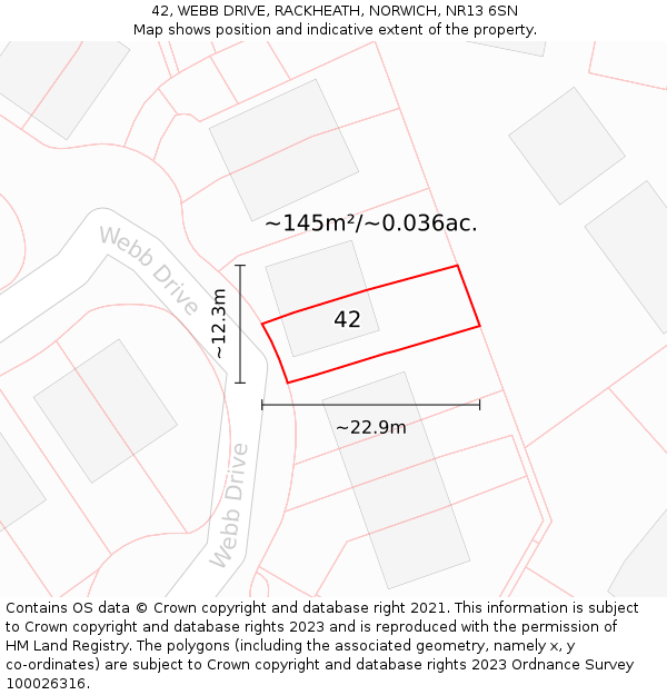 42, WEBB DRIVE, RACKHEATH, NORWICH, NR13 6SN: Plot and title map