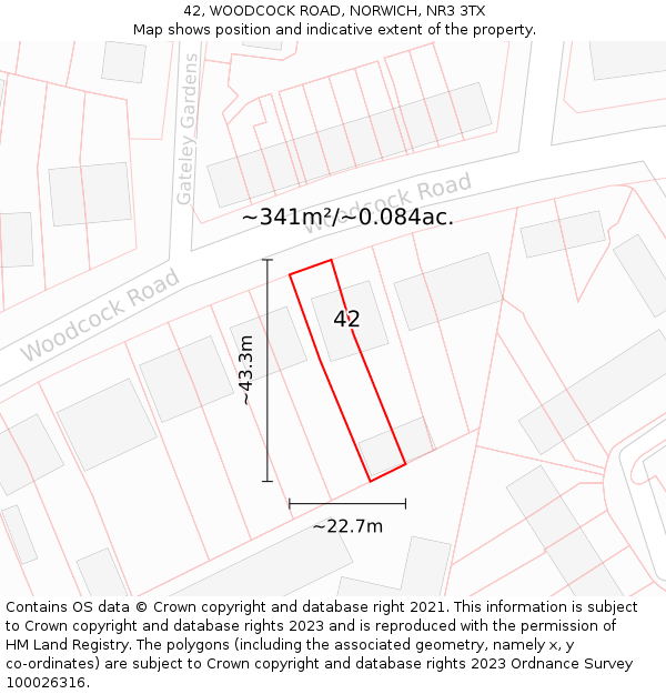 42, WOODCOCK ROAD, NORWICH, NR3 3TX: Plot and title map