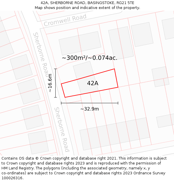 42A, SHERBORNE ROAD, BASINGSTOKE, RG21 5TE: Plot and title map