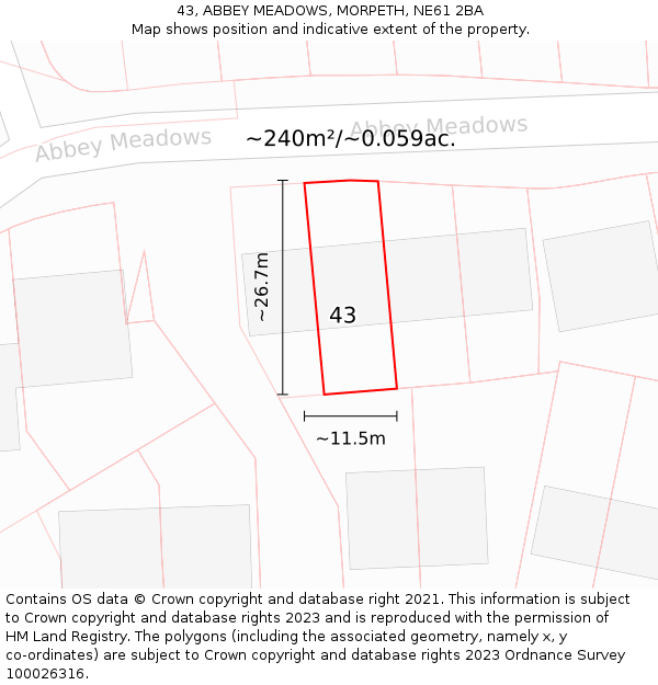 43, ABBEY MEADOWS, MORPETH, NE61 2BA: Plot and title map