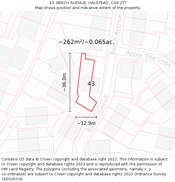 43, BEECH AVENUE, HALSTEAD, CO9 2TT: Plot and title map
