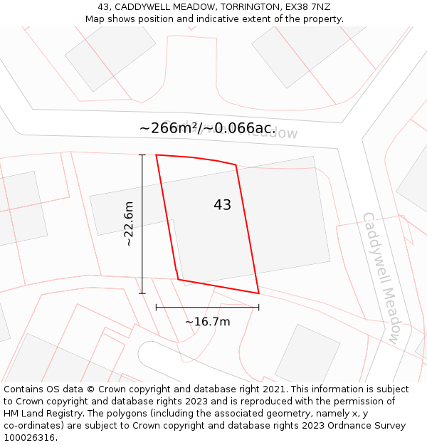 43, CADDYWELL MEADOW, TORRINGTON, EX38 7NZ: Plot and title map