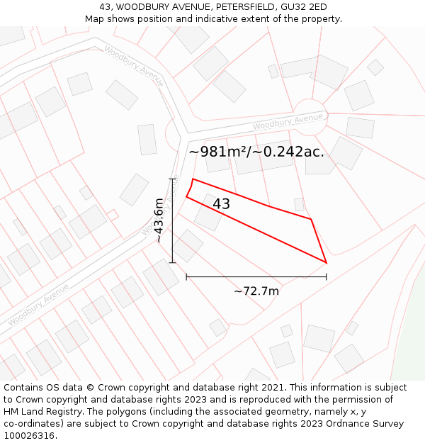 43, WOODBURY AVENUE, PETERSFIELD, GU32 2ED: Plot and title map