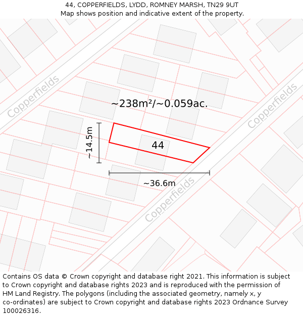 44, COPPERFIELDS, LYDD, ROMNEY MARSH, TN29 9UT: Plot and title map