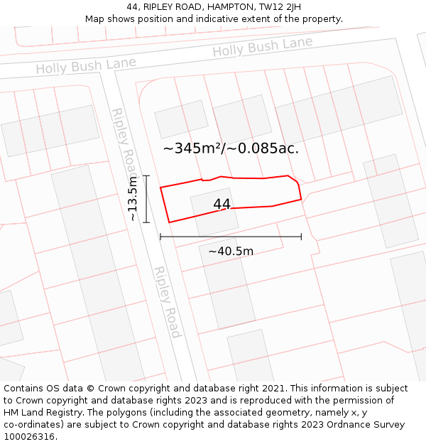 44, RIPLEY ROAD, HAMPTON, TW12 2JH: Plot and title map