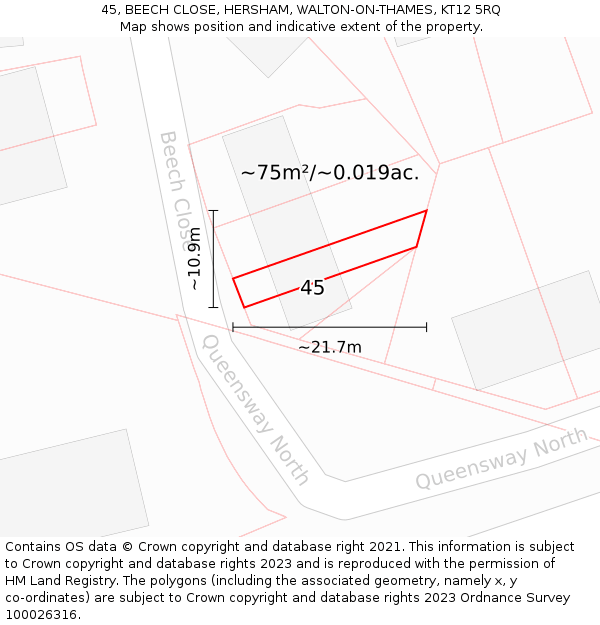 45, BEECH CLOSE, HERSHAM, WALTON-ON-THAMES, KT12 5RQ: Plot and title map