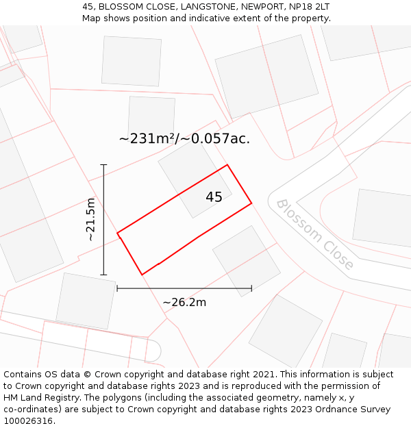 45, BLOSSOM CLOSE, LANGSTONE, NEWPORT, NP18 2LT: Plot and title map