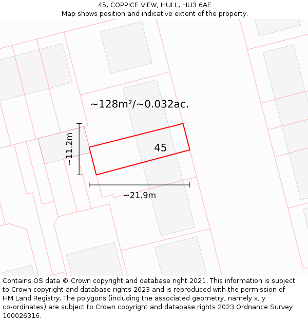 45, COPPICE VIEW, HULL, HU3 6AE: Plot and title map