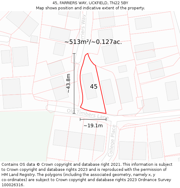 45, FARRIERS WAY, UCKFIELD, TN22 5BY: Plot and title map