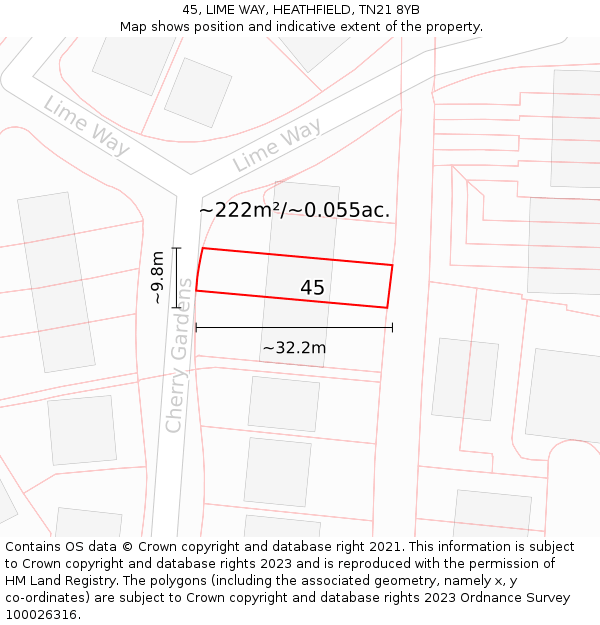 45, LIME WAY, HEATHFIELD, TN21 8YB: Plot and title map